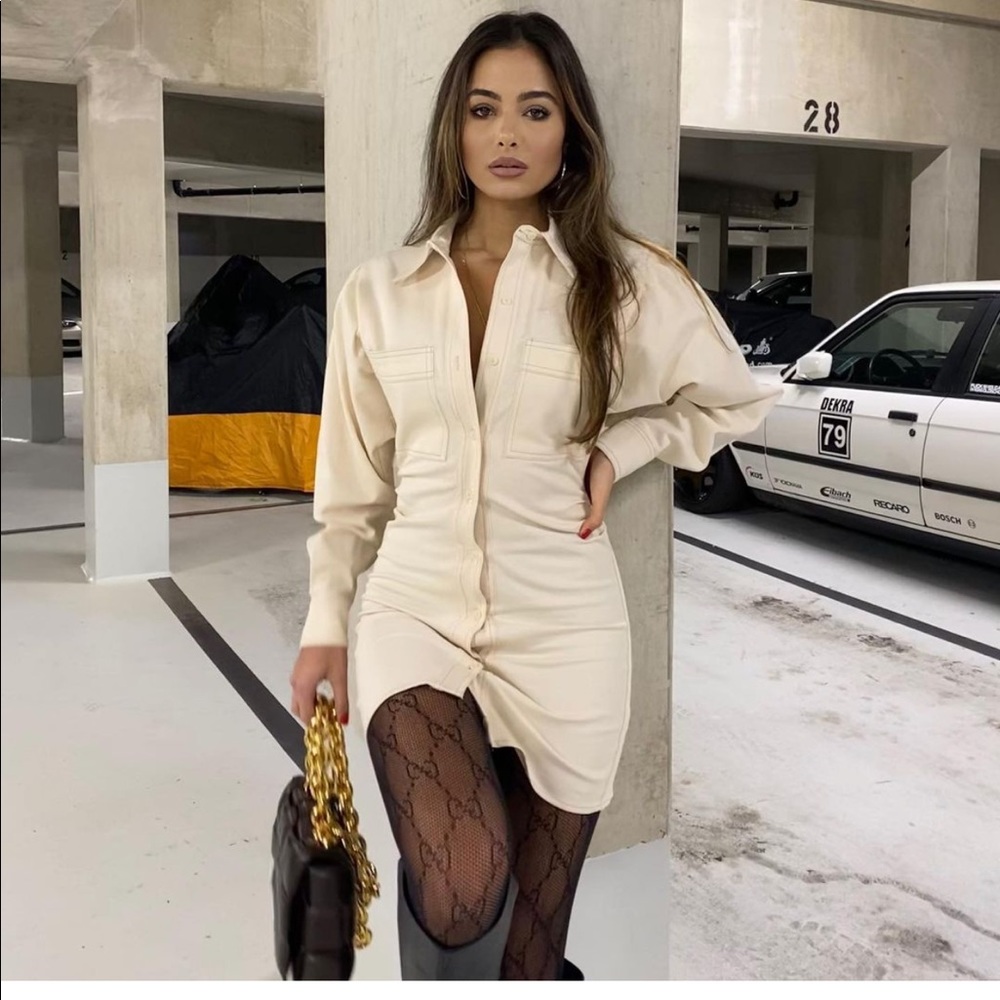 Zara button closure dress bloggers favorite - Picture 8 of 15